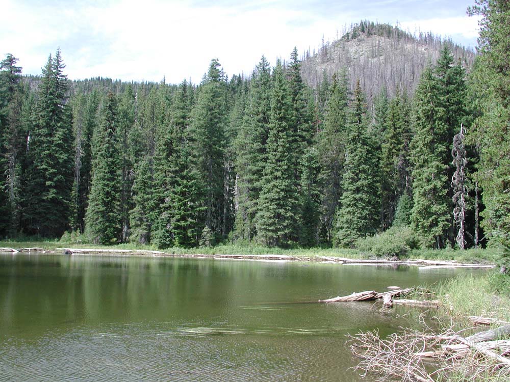 Marion Mt