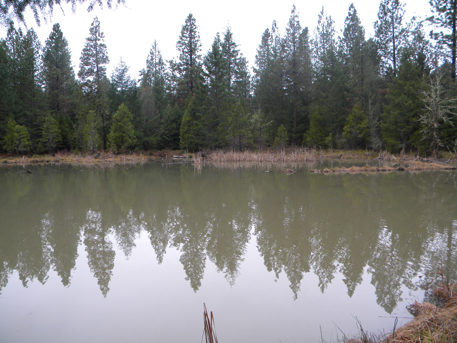 ORWW Upper South Umpqua Headwaters Project Beaver_Lake