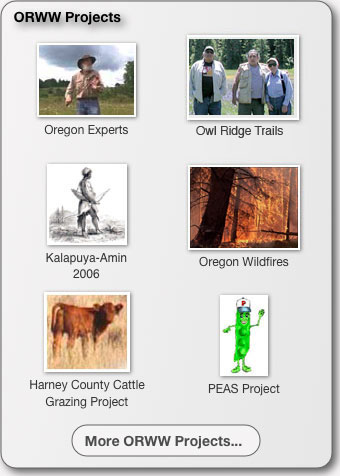 ORWW Projects
